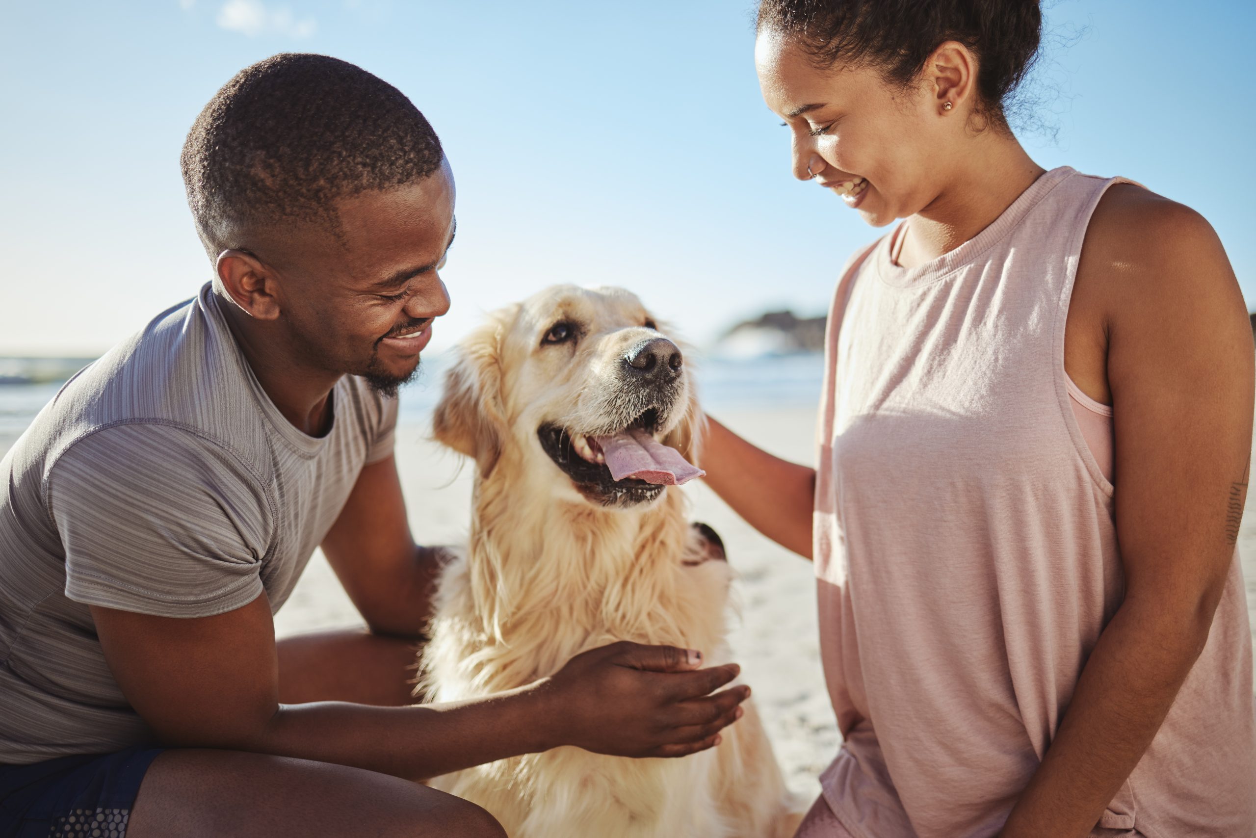 Urlaub mit Hund in Österreich: Ein Leitfaden für einen unvergesslichen Urlaub